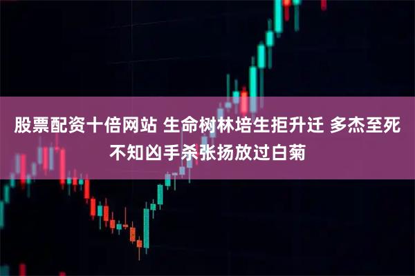 股票配资十倍网站 生命树林培生拒升迁 多杰至死不知凶手杀张扬放过白菊